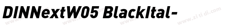 DINNextW05 BlackItal字体转换